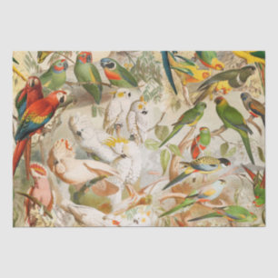 Papel De Seda Aves Tropicais Elegantes Vintage