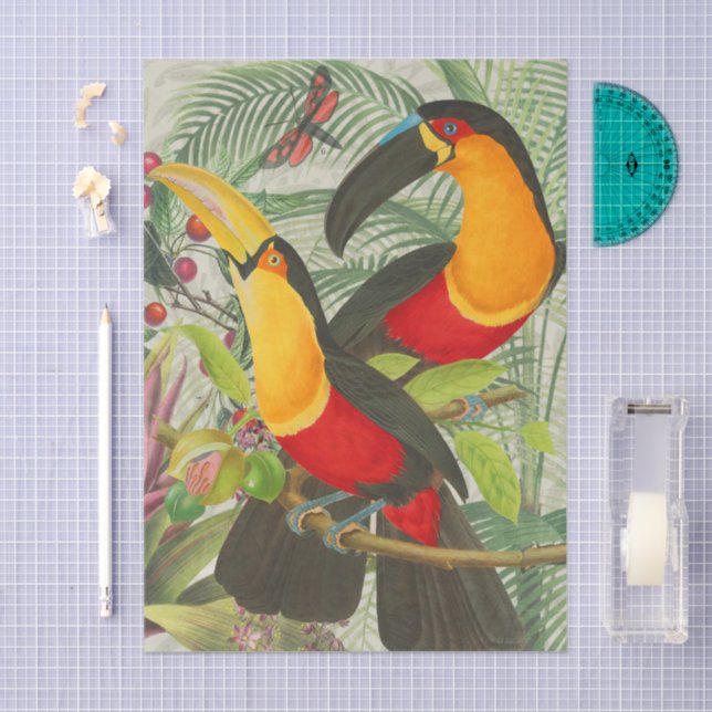 Papel De Seda Aves Tropicais Vibrantes Turianos Arte Selva Exóti (Arte )