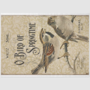 Papel De Seda Aves Vintage e Desnutação de Ephemera