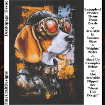 Aviador Canino Steampunk Bonito Cachorro Beagle De