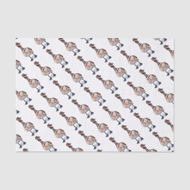 Papel De Seda Aviator Goose (Frente )