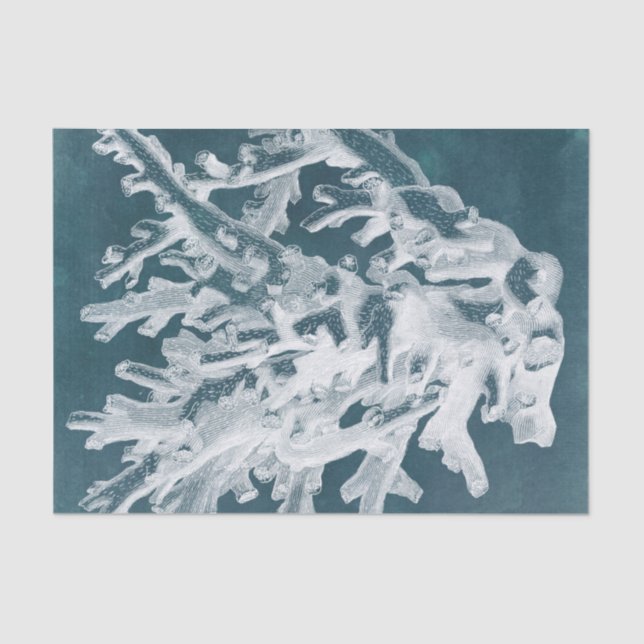 Papel De Seda Azure Coral I (Frente )