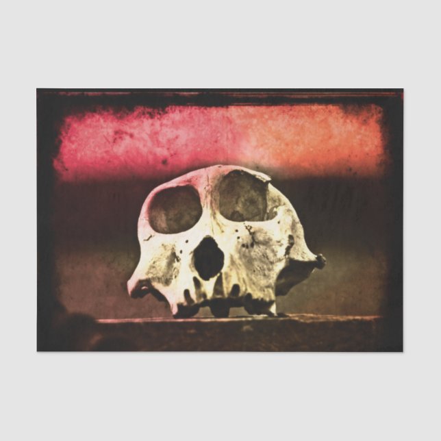 Papel De Seda Baboon Skull Sunset (Frente )