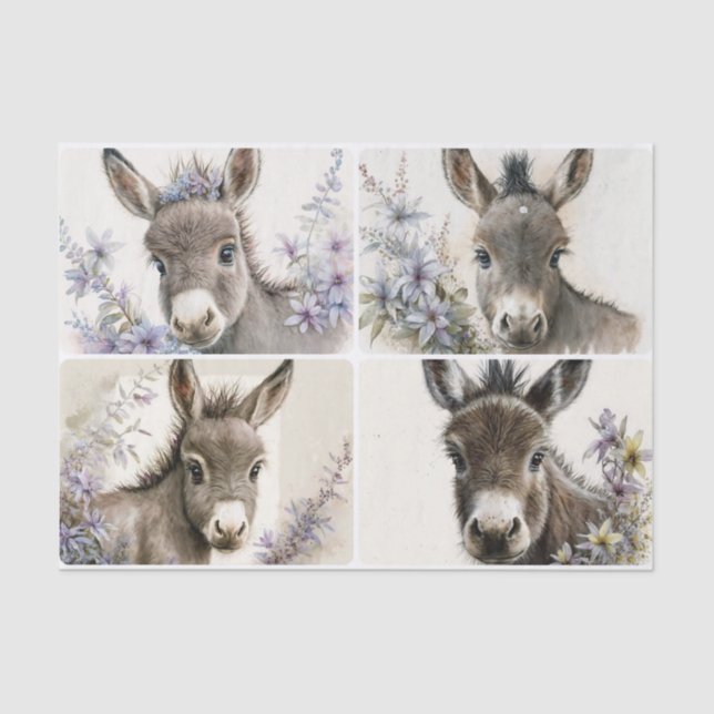 Papel De Seda Baby Donkeys (Frente )