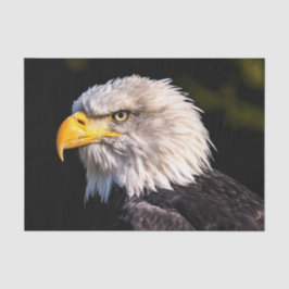Papel De Seda Bald Eagle
