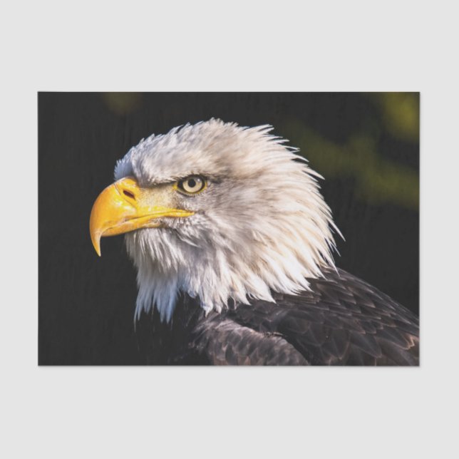 Papel De Seda Bald Eagle (Frente )