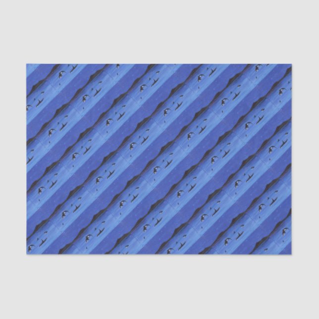 Papel De Seda Baleias Assassinas (Frente )