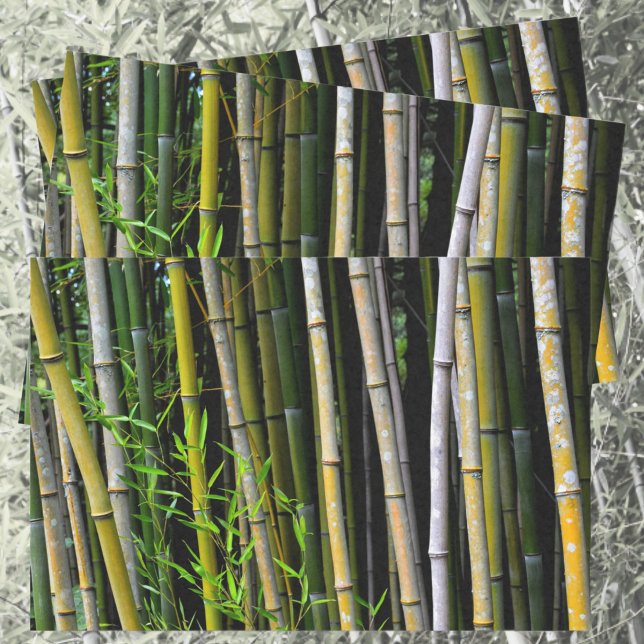 Papel De Seda Bamboo Grove Fotografia Natural (Criador carregado)