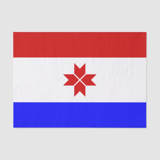 Papel De Seda Bandeira da Mordóvia (Frente )