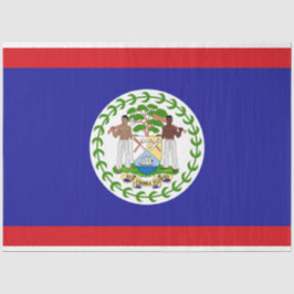 Papel De Seda Bandeira de Belize