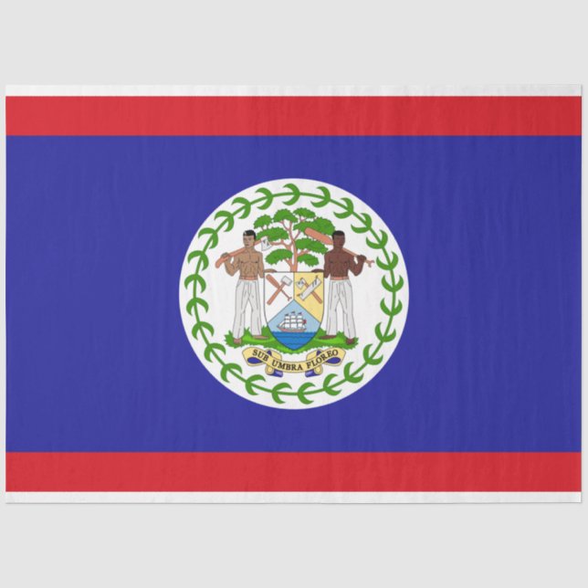 Papel De Seda Bandeira de Belize (Frente )