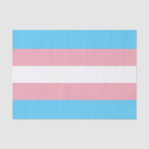 Bandeira do Orgulho Transgênero Horizontal