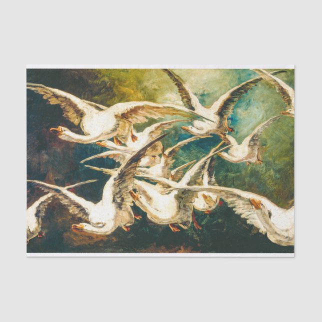 Papel De Seda Bando de Desnuvem de Gansos (Frente )