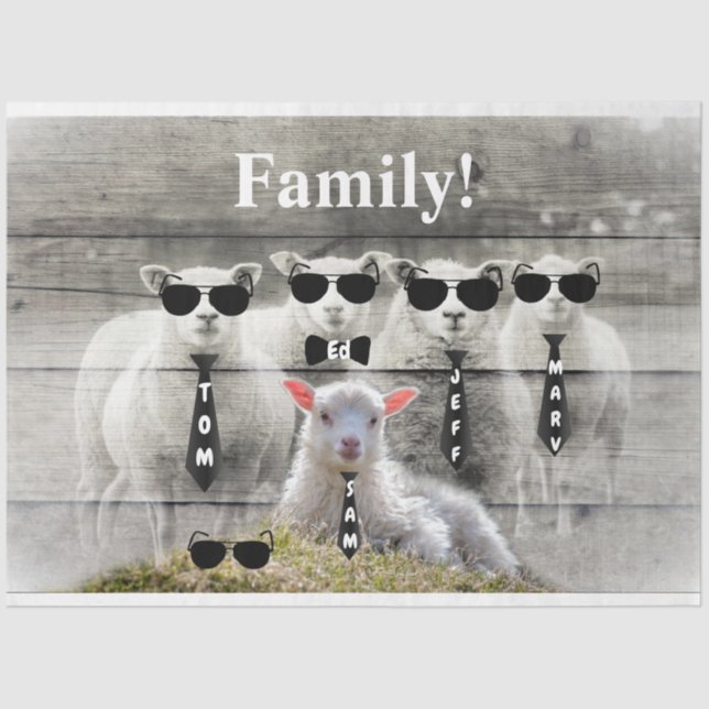 Papel De Seda Bando de Ovinos (Frente )