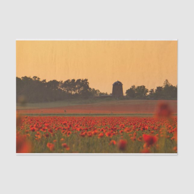 Papel De Seda Banho Sunset uma Fazenda Vermelha Poppy (Frente )