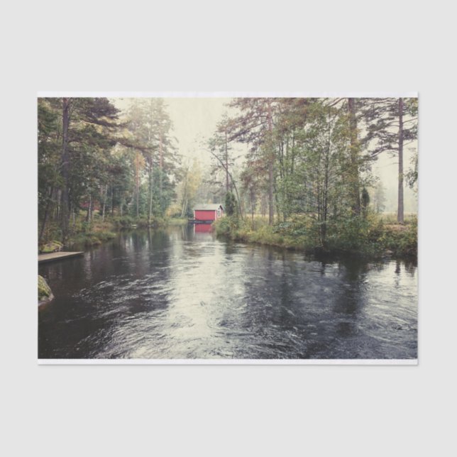 Papel De Seda Barão Vermelho Cinto em Floresta Isolada e Lago (Frente )