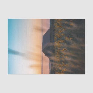 Papel De Seda Barn cercado por um Campo de Girassol em Sunset