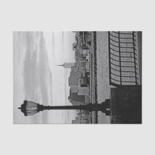 Papel De Seda Battery Park City II