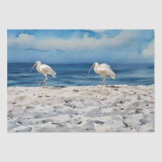 Papel de seda Beach Birds 14 x 20 4,54kg