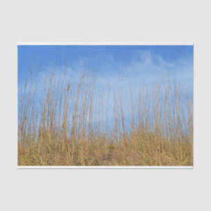 Papel De Seda Beach Grass por Shirley Taylor