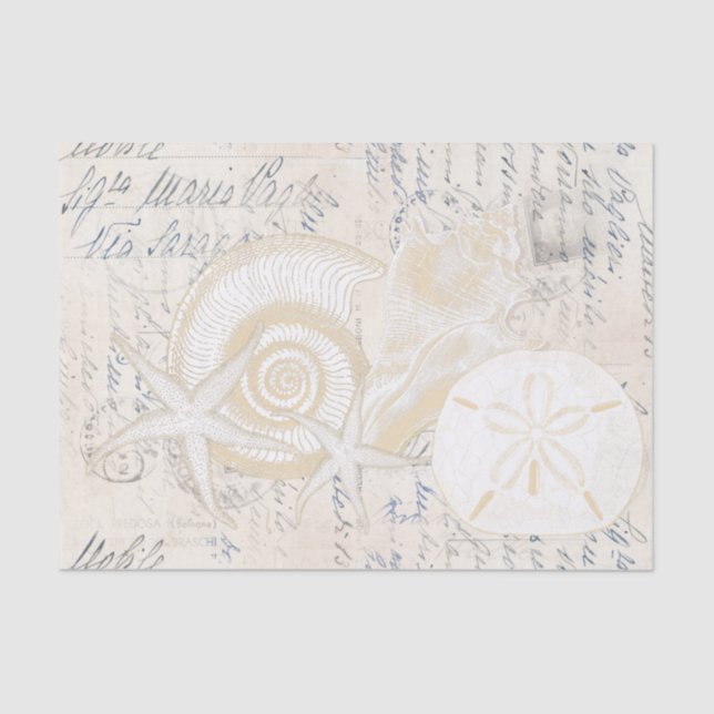 Papel De Seda Beach Seashells Cream Papel-Tecido Italiano Escrev (Frente )