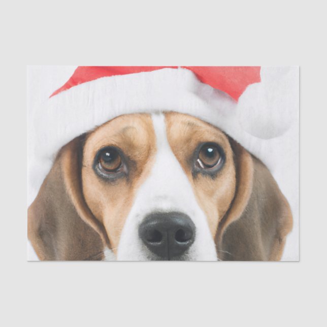 Papel De Seda Beagle Christmas (Frente )