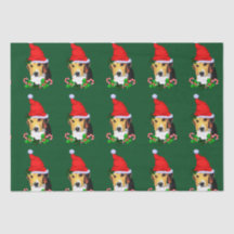 Beagle no Natal Hat