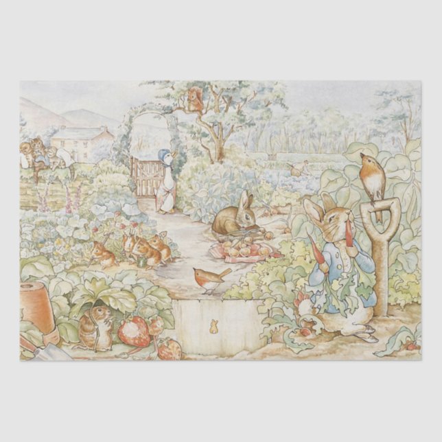 Papel De Seda Beatrix Potter Peter o Coelho Amigos do Jardim (Frente )