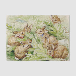 Papel De Seda Beatrix Potter Tale dos Bunnies Inchados