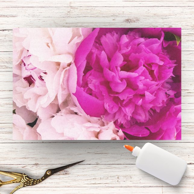 Papel De Seda Bebê Elegante Rosa e Peônias Francêsas   (Criador carregado)