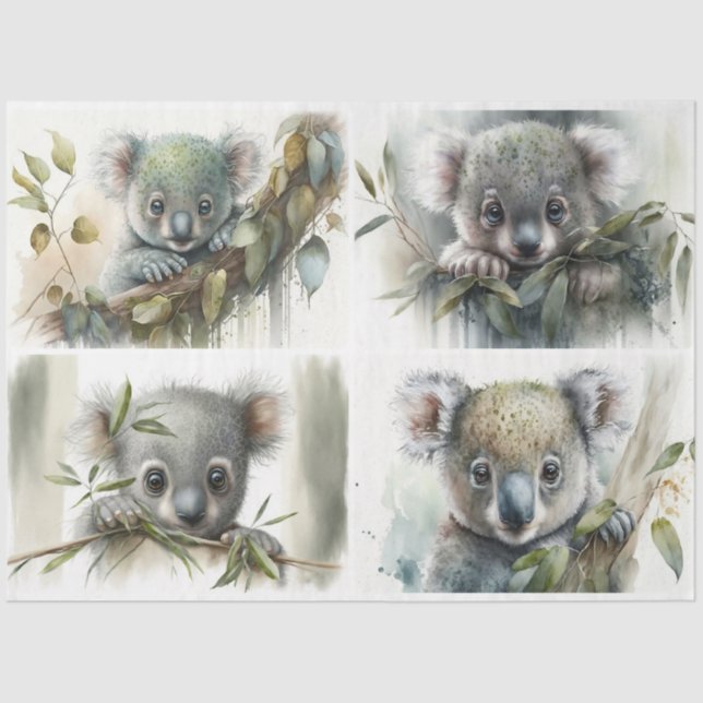 Papel De Seda bebê Koalas (Frente )