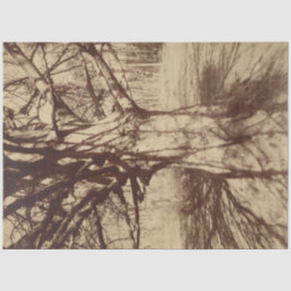 Papel De Seda Beech Tree (por Eugène Atget)