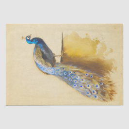 Papel De Seda Bela ave Real Peacock Vintage