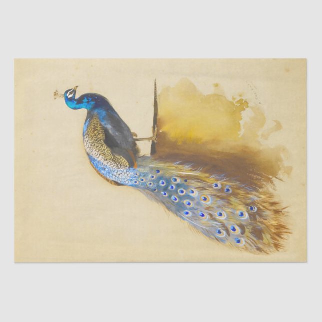 Papel De Seda Bela ave Real Peacock Vintage (Frente )