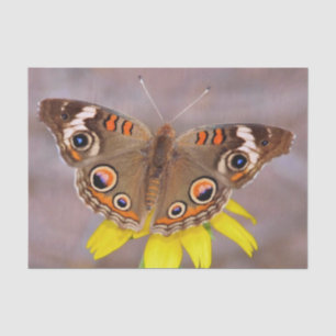 Papel De Seda Bela borboleta na Flor Amarela