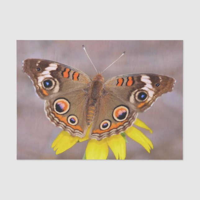 Papel De Seda Bela borboleta na Flor Amarela (Frente )