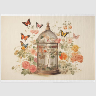 Papel De Seda Beleza Flutuante: Dissociação de Birdcage