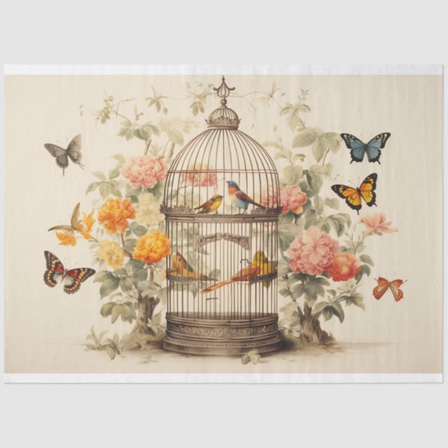 Papel De Seda Belezas em Crise: Dissociação de Aves (Frente )