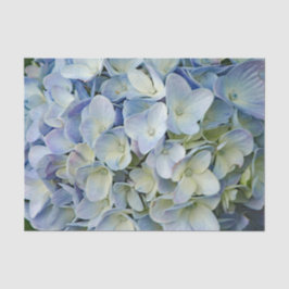 Papel De Seda Belo Blue Hydrangea Flowers Foto