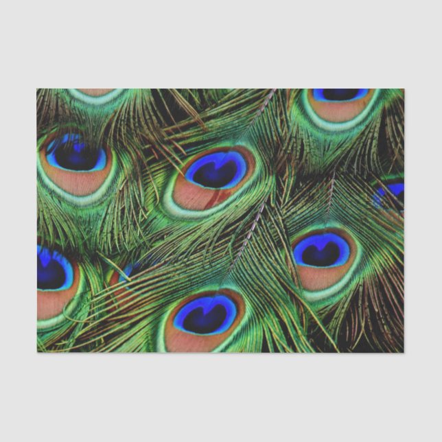 Papel De Seda Belo Penas de Peacock (Frente )