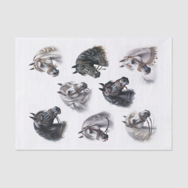 Papel De Seda Belos cavalos árabes com pontes Ricos (Frente )