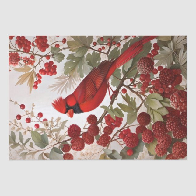 Papel De Seda Berries Vermelho norte Cardinal (Frente )