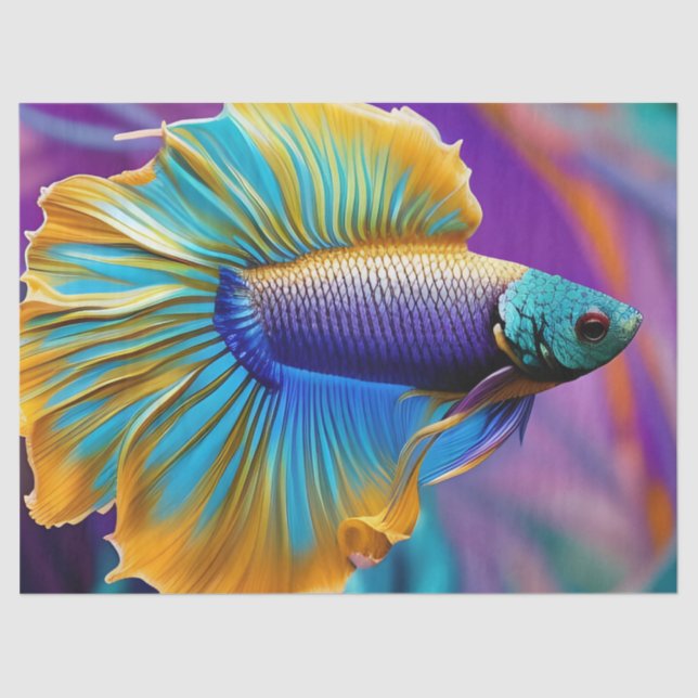 Papel De Seda Betta Fish, roxo de ouro azul (Frente )