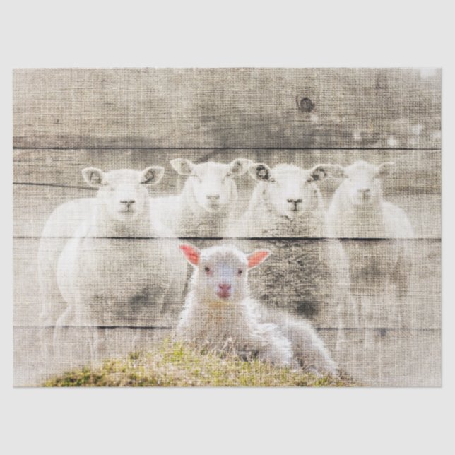 Papel De Seda Bicicleta Rústica De Ovelha (Frente )