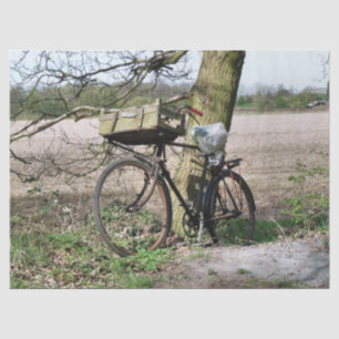 PAPEL DE SEDA BICICLO