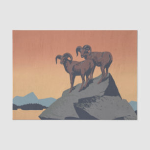 Papel De Seda Bighorn Sheep American West Willife
