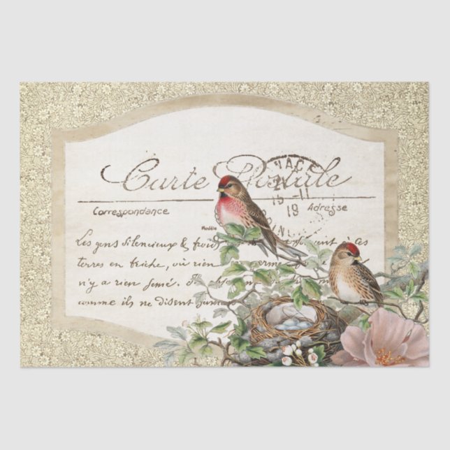 Papel De Seda Bird Nest Floral Carte Postale Script Francês Dour (Frente )