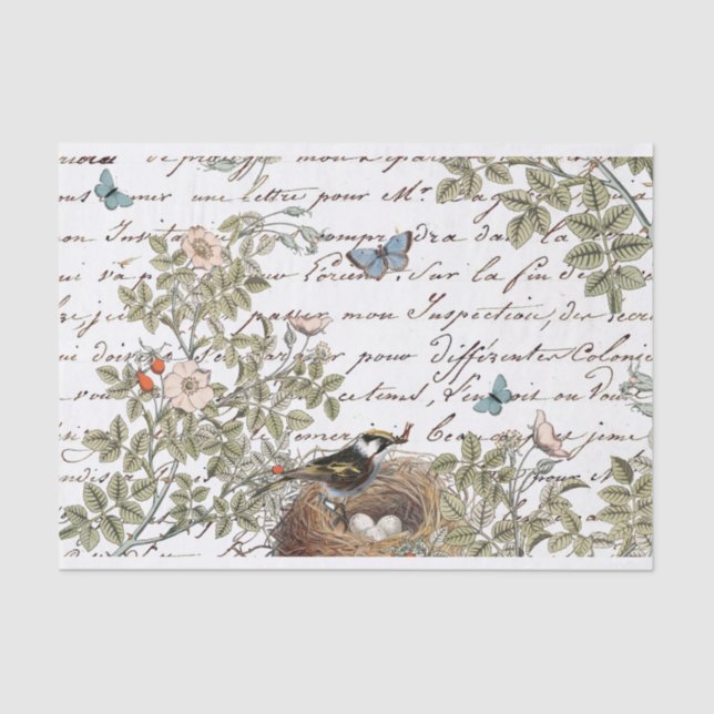 Papel De Seda Bird Nest Rosa Borboleta Rosa Dourada Script Franc (Frente )