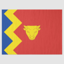 Birmingham City Flag