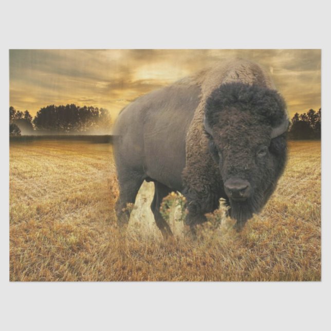 Papel De Seda Bison Prairie (Frente )